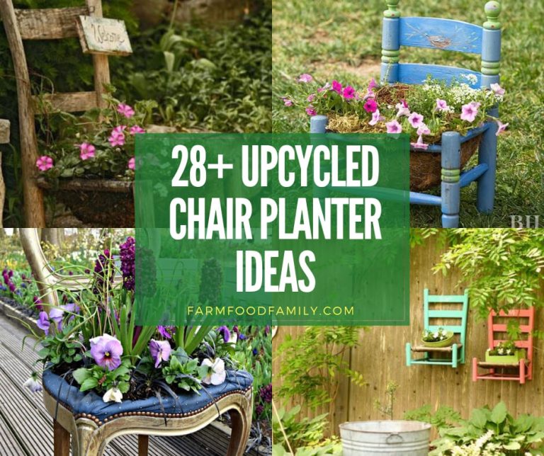 28+ Best Upcycled Chair Planter Ideas to Inspire You (2024)