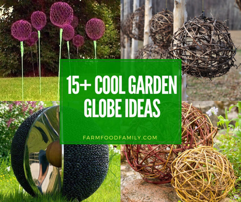 Best garden globe ideas