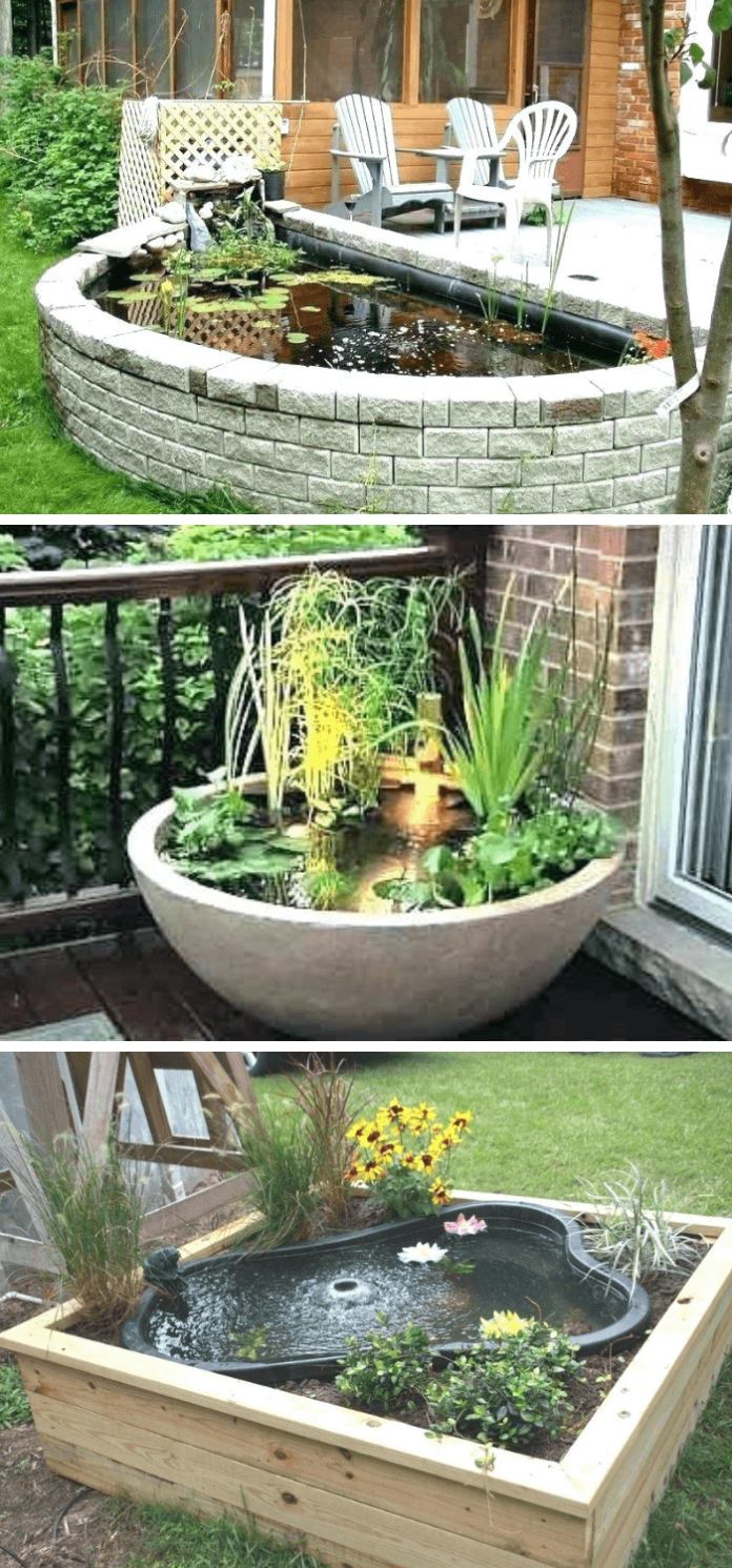 10+ Awesome Backyard Aquarium Ideas & Designs For 2024