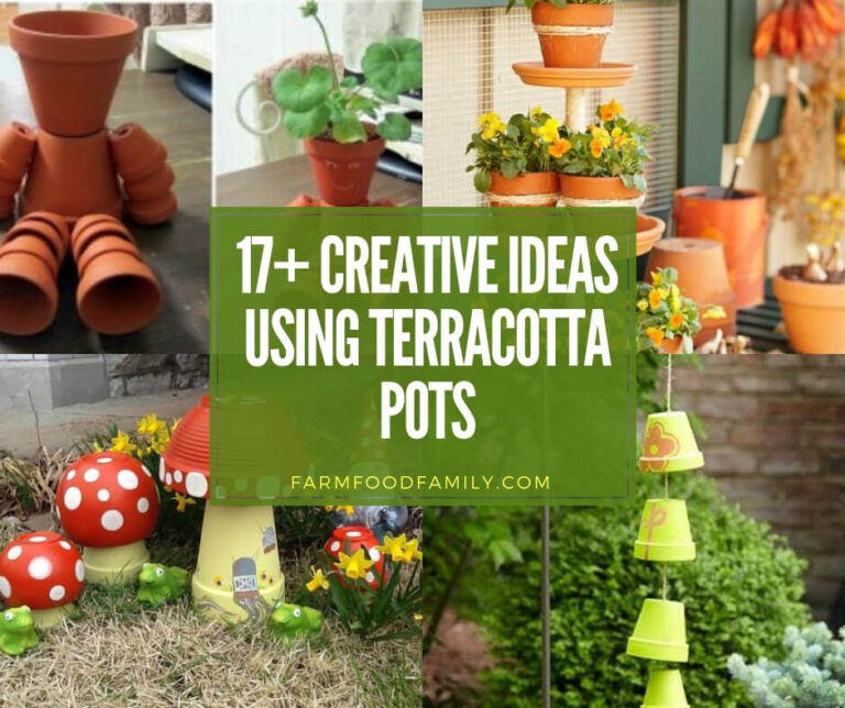 best garden ideas using terracotta pots