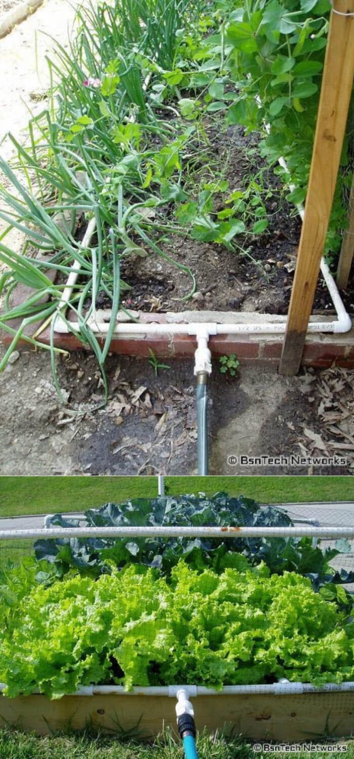 13+ Best DIY PVC Pipe Planters for Your Garden 2024
