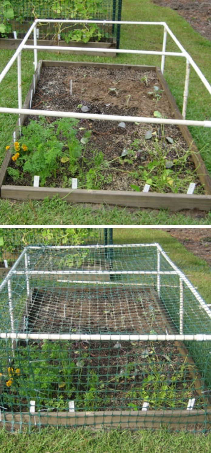 13+ Best DIY PVC Pipe Planters for Your Garden 2024