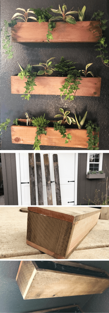 15+ Best DIY Indoor Plant Wall Projects & Ideas For 2024
