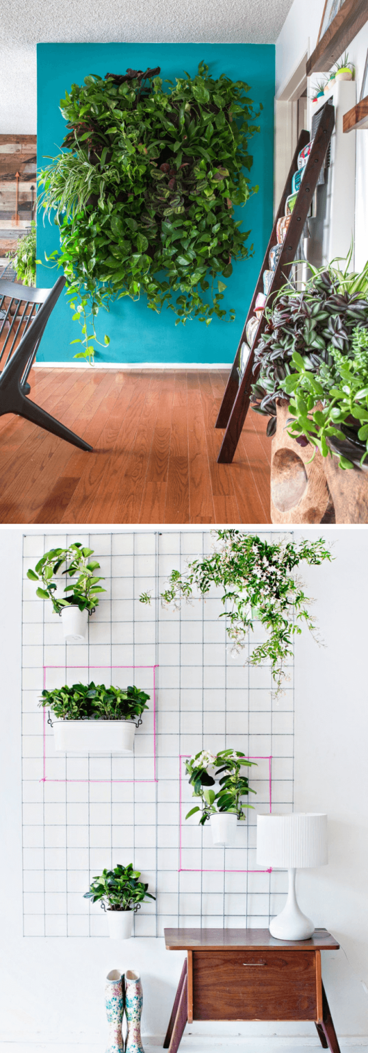 15+ Best DIY Indoor Plant Wall Projects & Ideas For 2024