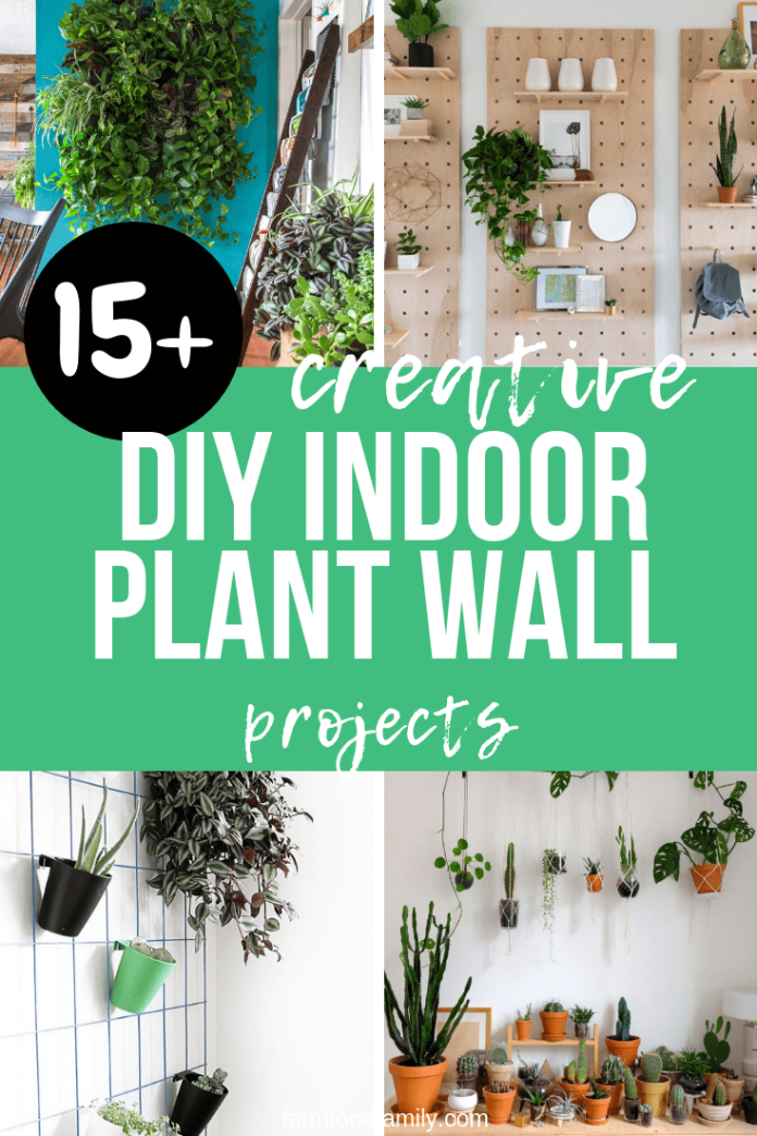 15+ Best DIY Indoor Plant Wall Projects & Ideas For 2024