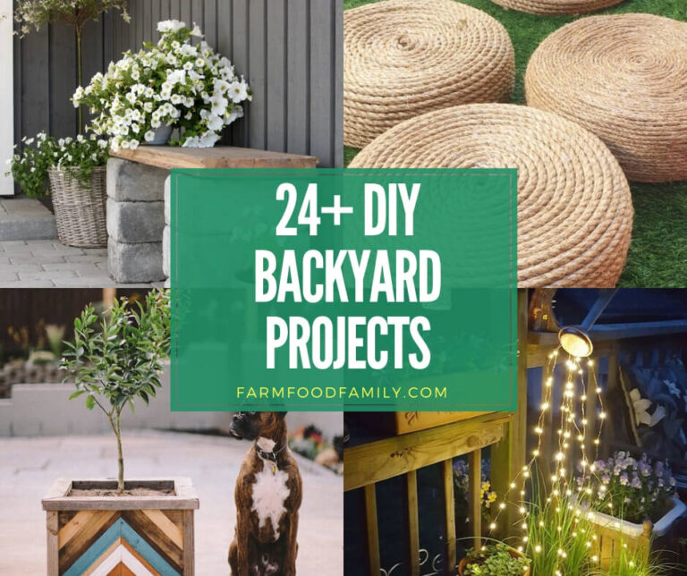 best diy backyard project ideas