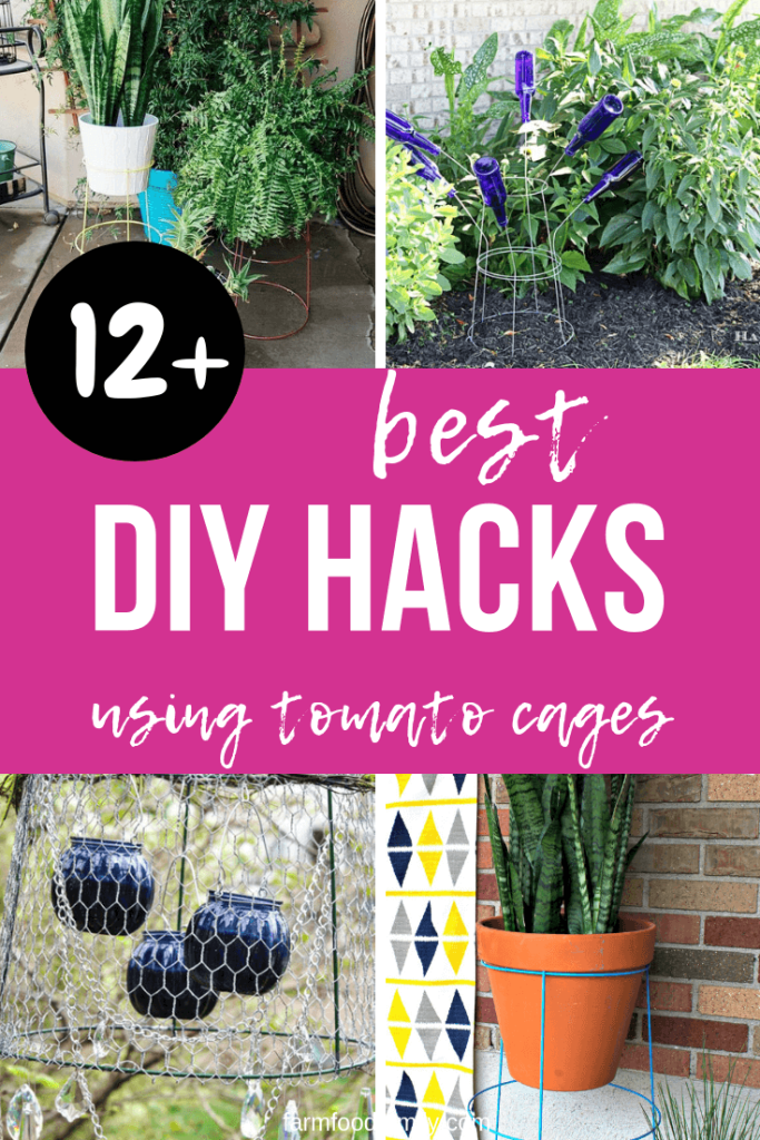 12+ Awesome DIY Garden Hacks Using Tomato Cages For 2024