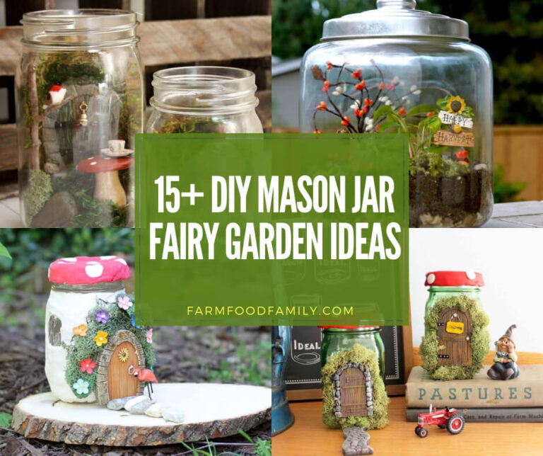 best mason jar fairy garden ideas