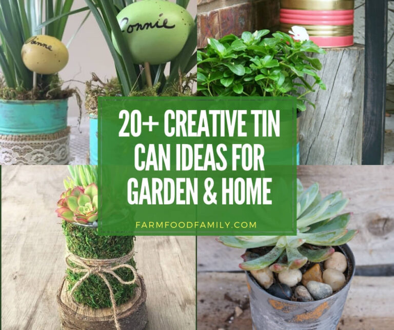 best diy tin can ideas for your garden