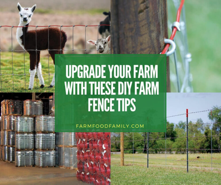 Upgrade Your Farm With These DIY Farm Fence Tips