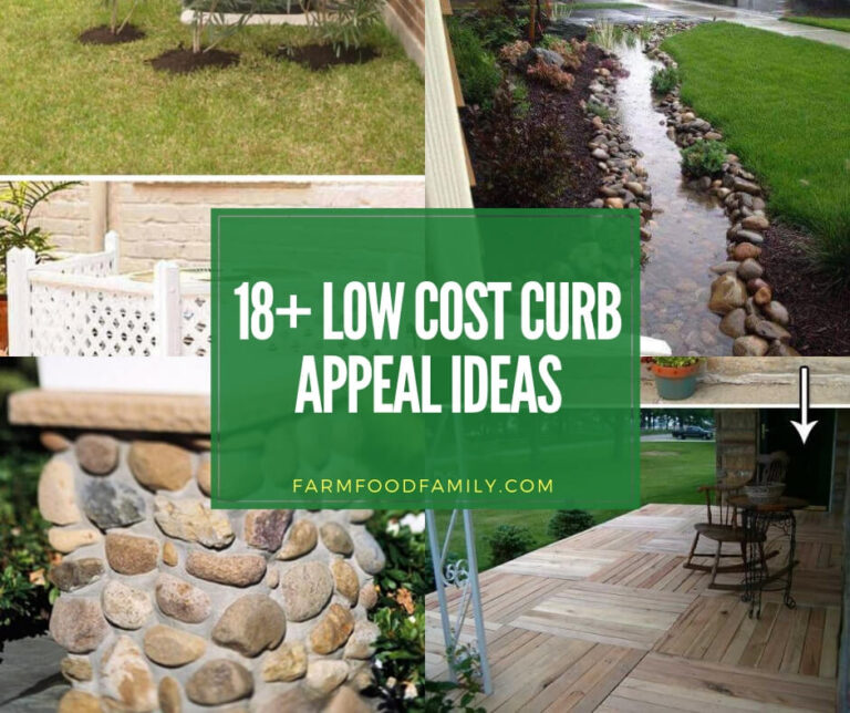 best curb appeal ideas