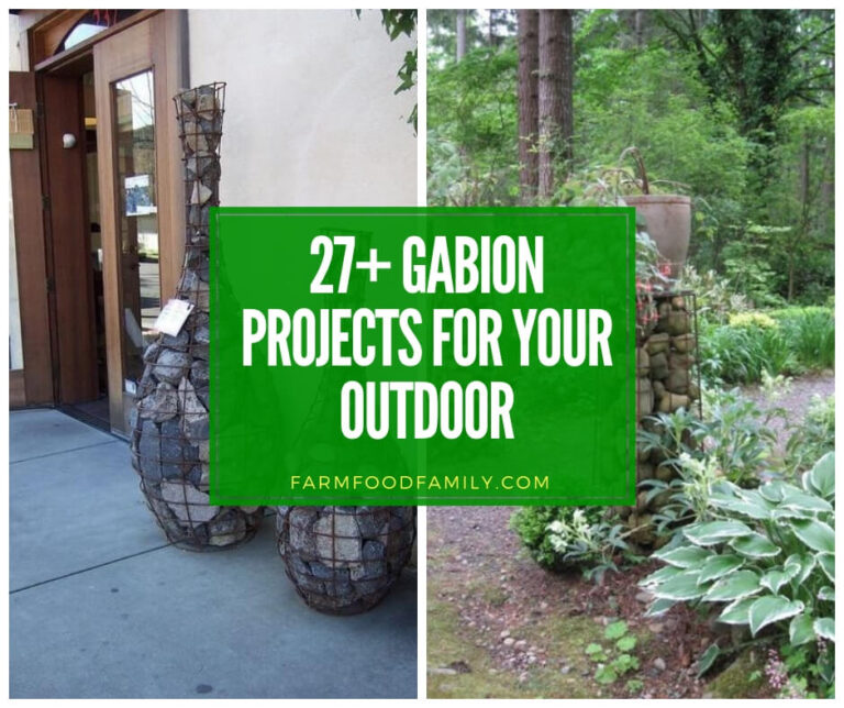 27+ Creative Gabion Ideas for Your Outdoor Space