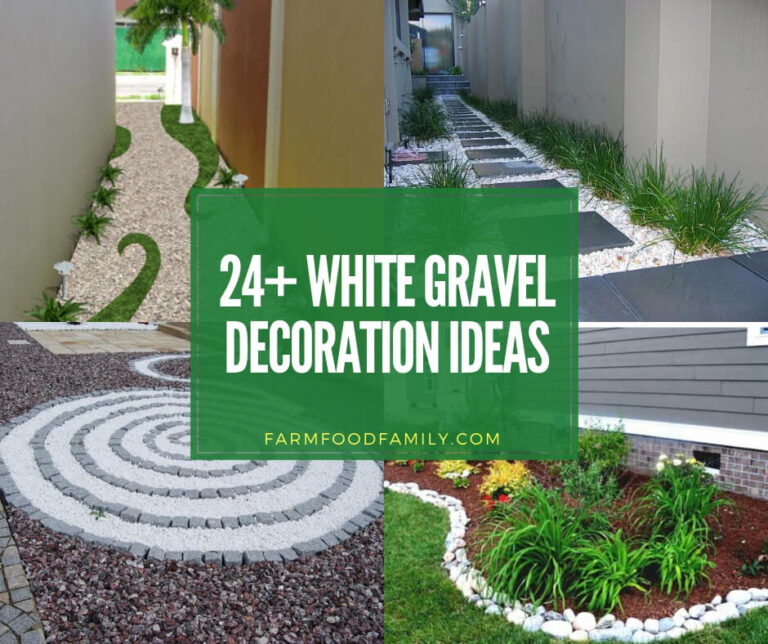 24+ Creative Landscaping Ideas With White Gravel