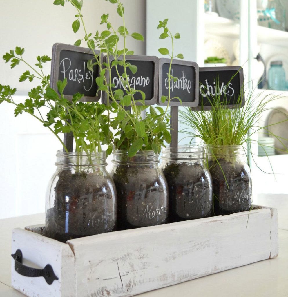 15+ Best Indoor Tabletop Garden Ideas & Designs For 2024