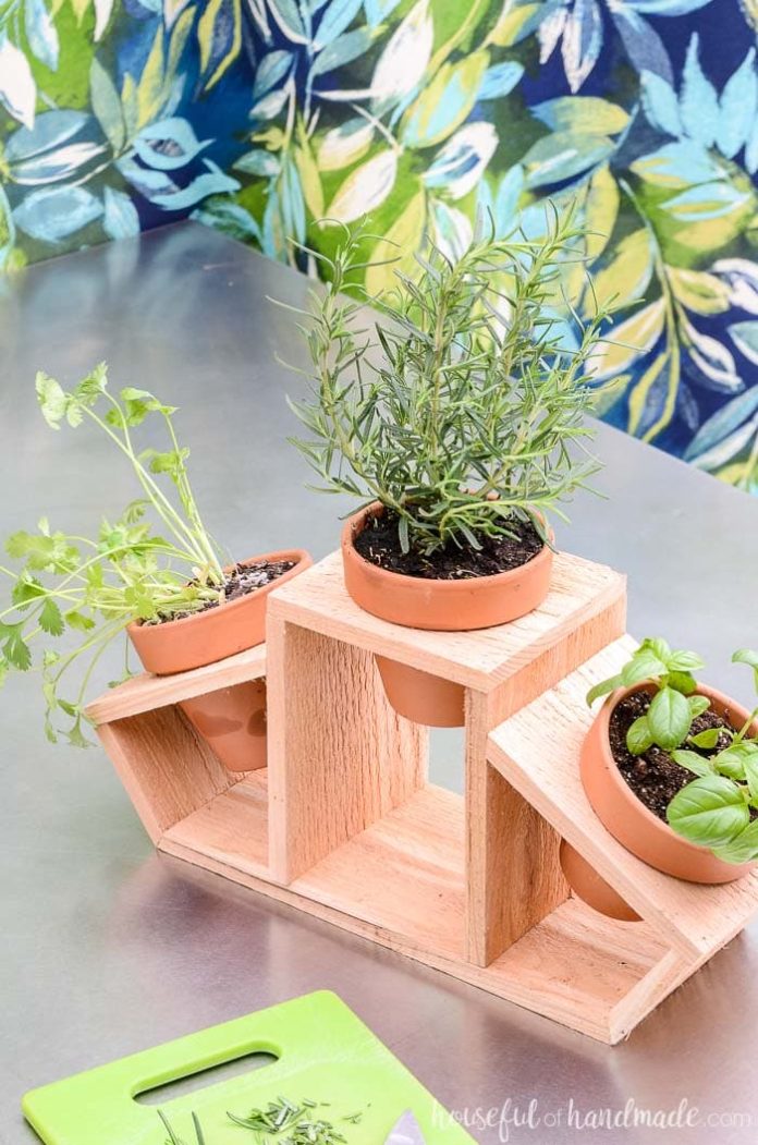 15+ Best Indoor Tabletop Garden Ideas & Designs For 2024