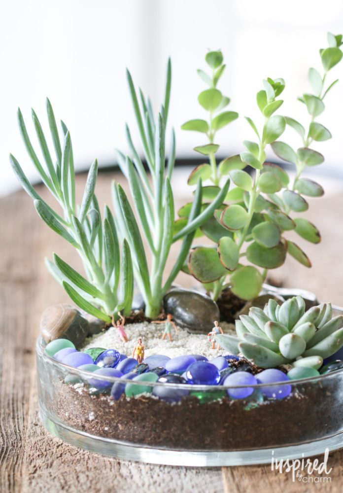 15+ Best Indoor Tabletop Garden Ideas & Designs For 2024