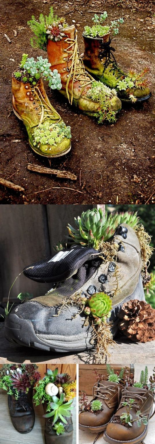 12+ Creative Planter Ideas From Recycled Footwear For 2024