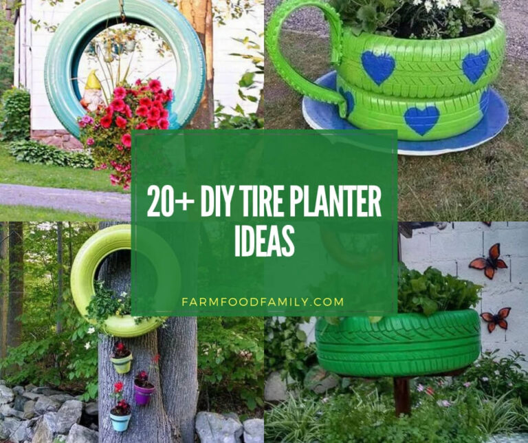 How to Make a Tire Planter