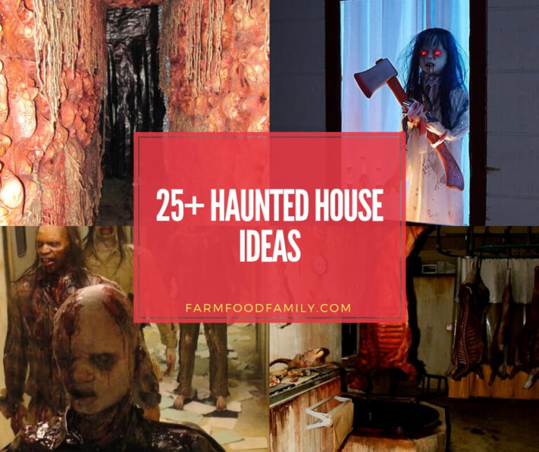 55+ Cheap Haunted House Ideas for This Halloween