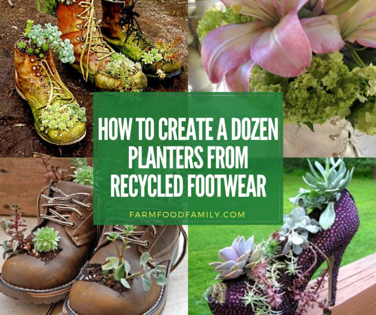 How To Create A Dozen Planters from Recycled Footwear