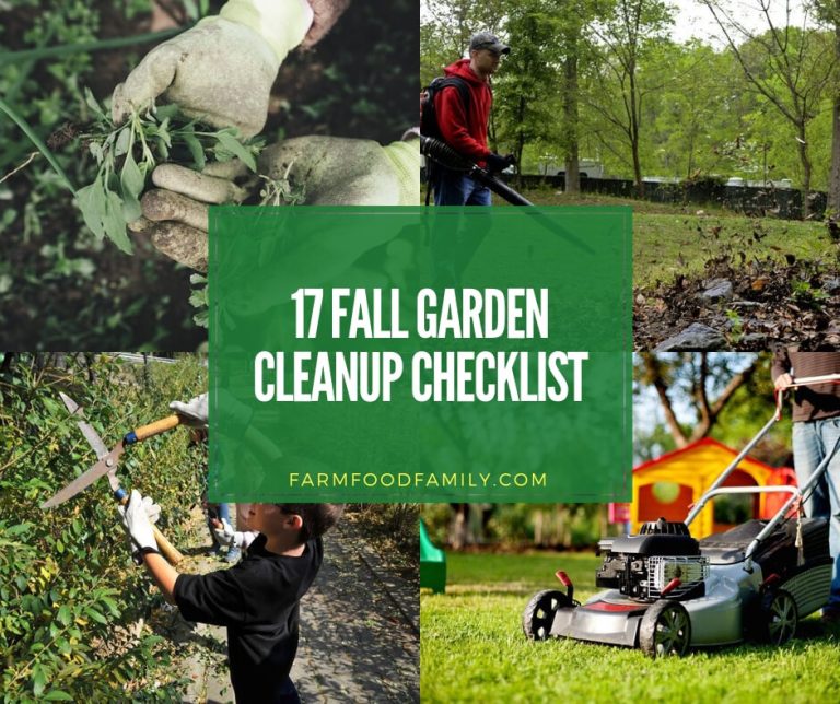 17 Fall Garden Clean Up and Maintenance Checklist FarmFoodFamily