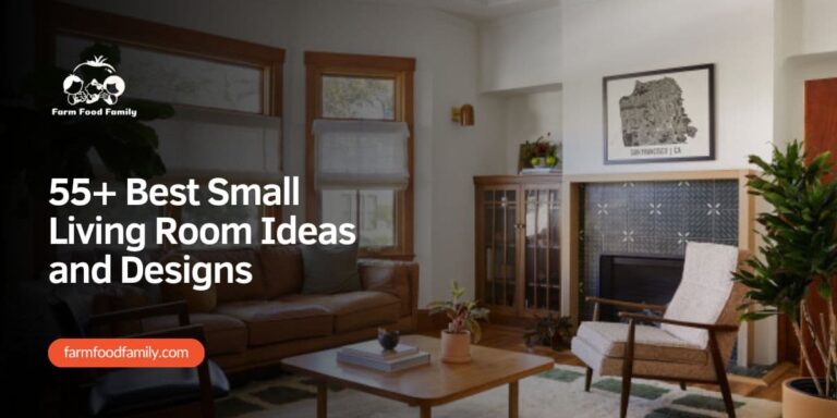Best Small Living Room Ideas and Designs