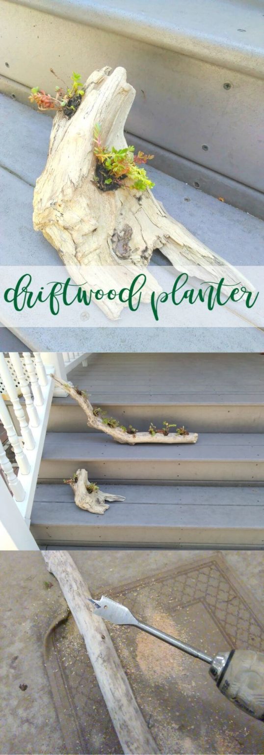20+ Clever and Easy DIY Driftwood Craft Projects & Ideas (With Tutorials)