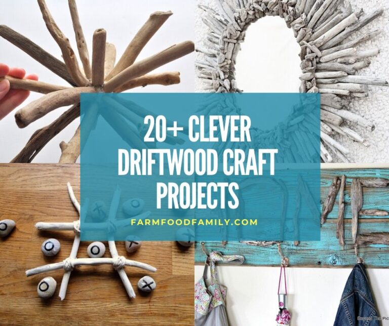 20+ Clever DIY Driftwood Craft Projects