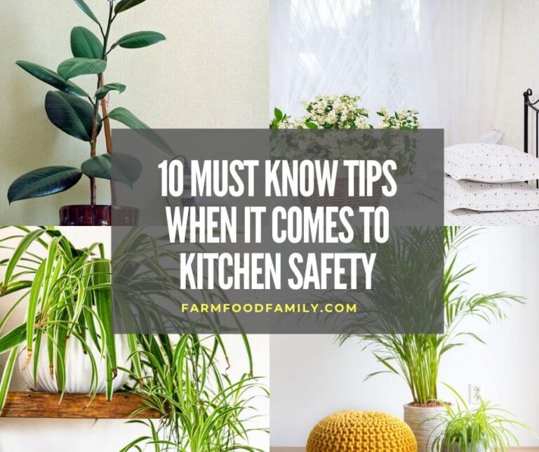 10 Must Know Tips When It Comes to Kitchen Safety