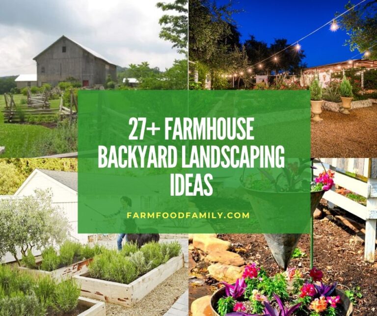 27+ Awesome Farmhouse Backyard Landscaping Ideas