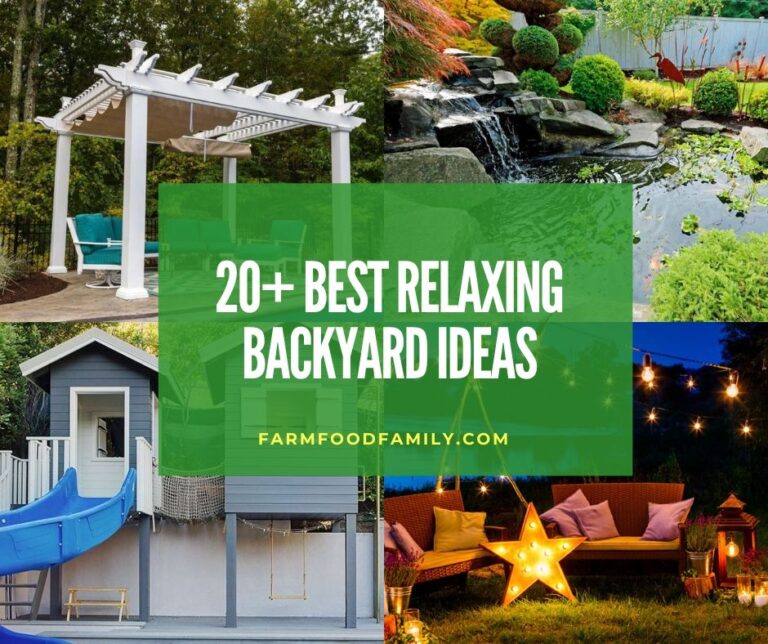 20+ Relaxing Backyard Ideas and Designs For Your Garden (2026)