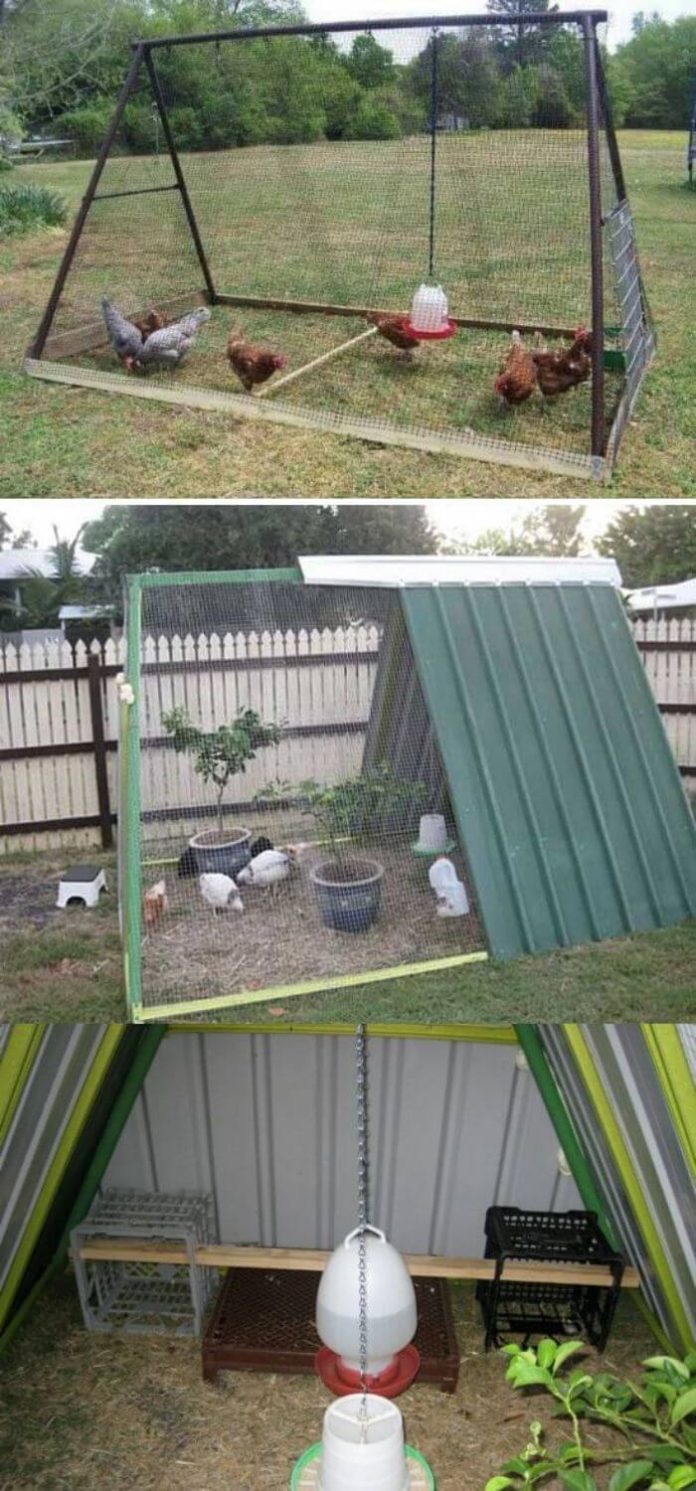 45+ Low-Budget DIY Backyard Chicken Coop Ideas (With Plans)