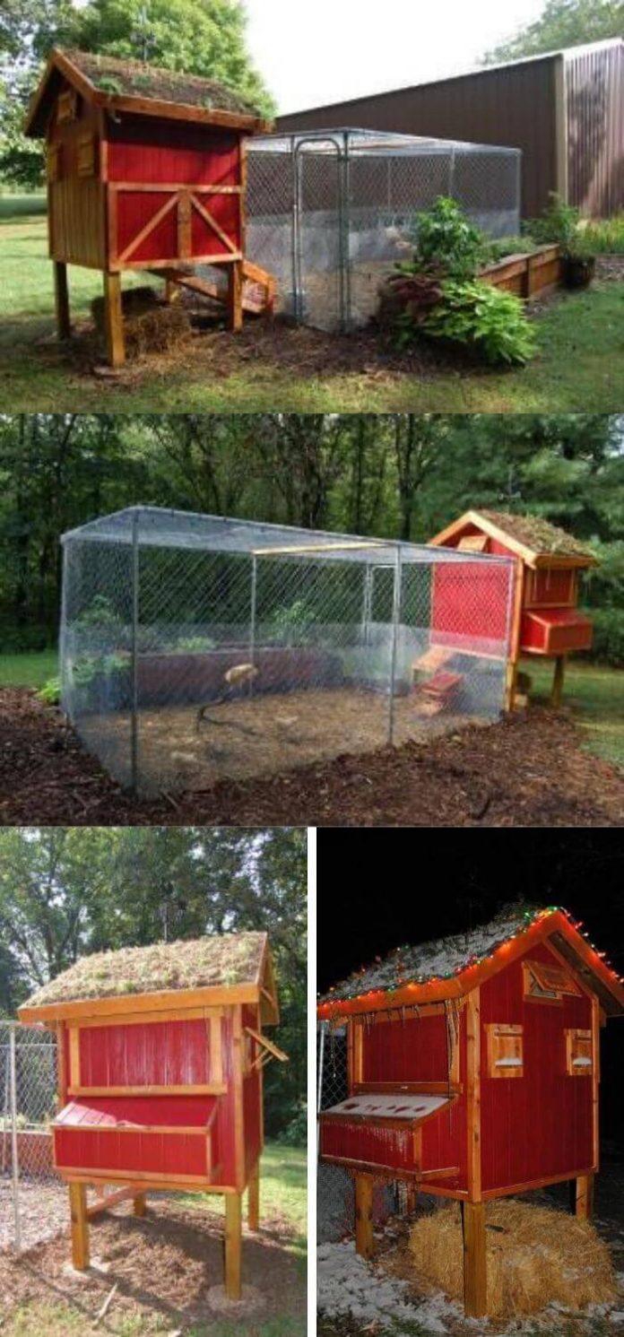 45+ LowBudget DIY Backyard Chicken Coop Ideas (With Plans)