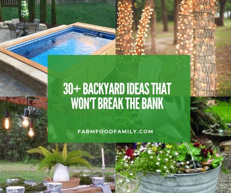 30+ Backyard Ideas That Won’t Break the Bank