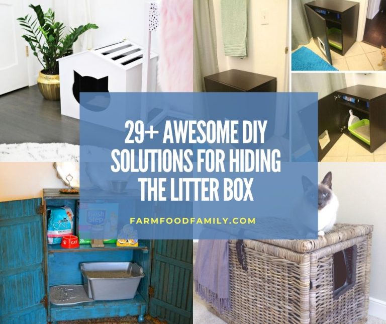 29+ Awesome DIY Ideas and Solutions For Hiding The Litter Box