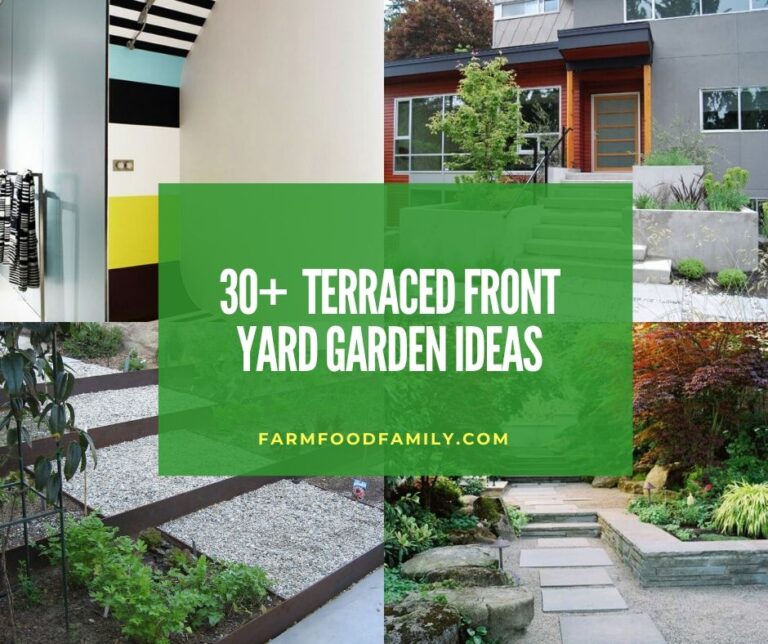 30 Terraced Front Yard Garden Ideas & Designs