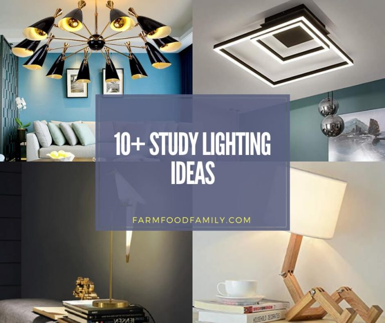 10+ Best Study Lighting Ideas and Designs For 2024