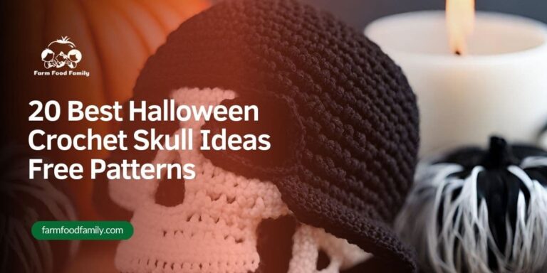 20 Best Halloween Crochet Skull Ideas Free Patterns for 2026