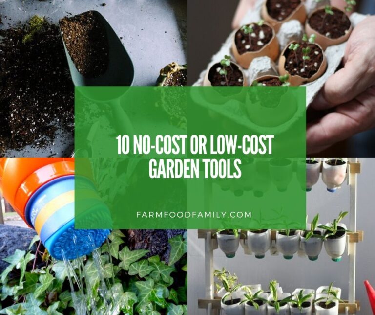10 No-cost or Low-cost Garden Tools
