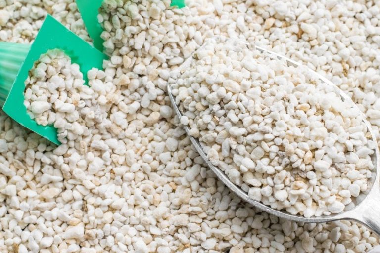 What Is Perlite? How To Use It In Your Garden [Ultimate Guide]