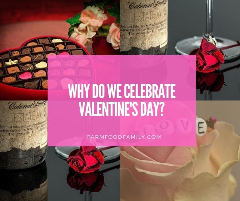 Valentine's Day Why do we celebrate Valentine's day?