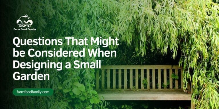 Questions That Might be Considered When Designing a Small Garden