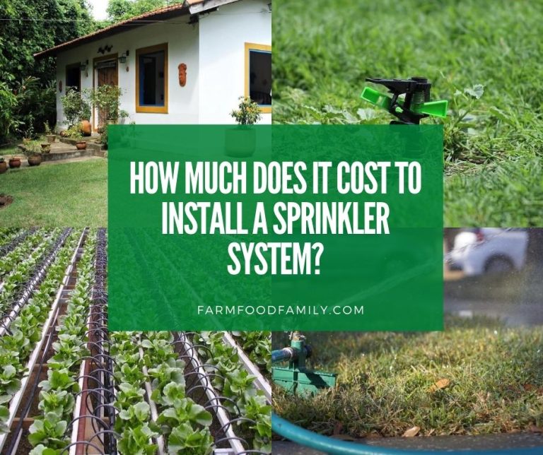 How Much Does It Cost To Install A Sprinkler System? Guide For 2024