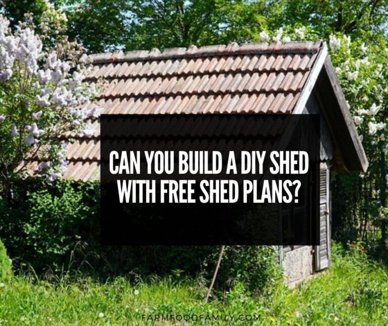 Can You Build a DIY Shed with Free Shed Plans?