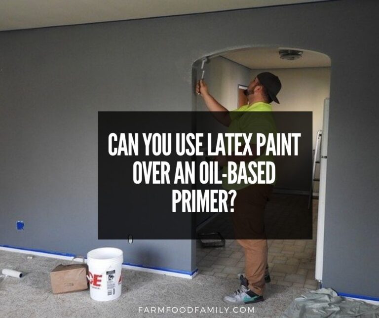 Can You Use Latex Paint over an Oil-Based Primer? – The Definitive Guide
