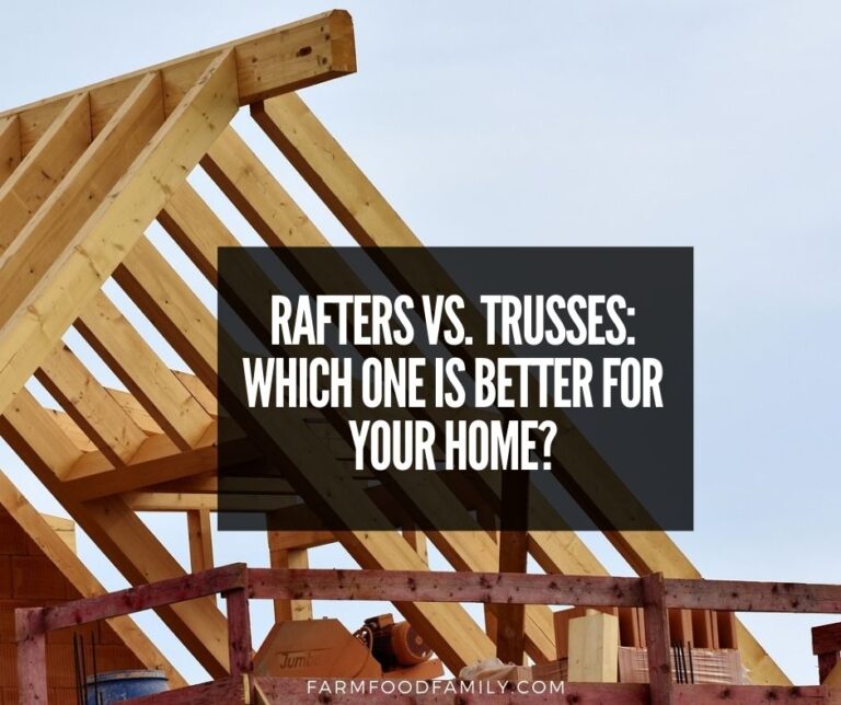 Rafters vs. Trusses: Which one is better for your home?
