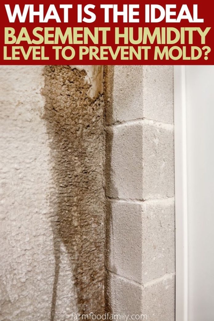 What Is The Ideal Basement Humidity Level to Prevent Mold?