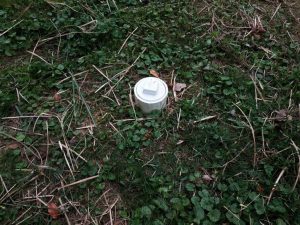 Sewer Clean Out 101: Installation, Cost, and Where It Is Located
