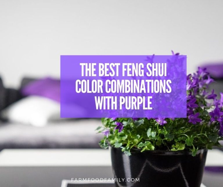 Purple in Feng Shui - The Best Feng Shui Color Combinations with Purple