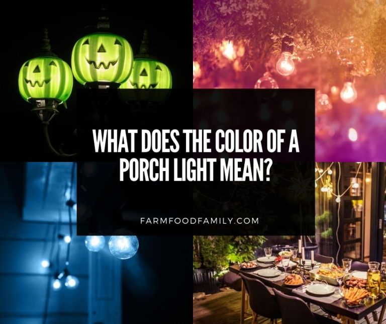 What Does The Color Of A Porch Light Mean? (Red, Purple, Blue) 2024